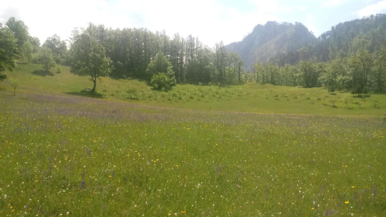 Kamp Rafting Kljajevica Luka Villa Pljevlja Eksteriør billede